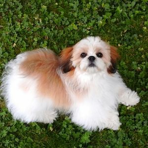 Meet your Posher, Marleen